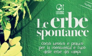 Le erbe spontanee – Nuova Edizione