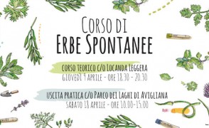 Corso di Erbe Spontanee